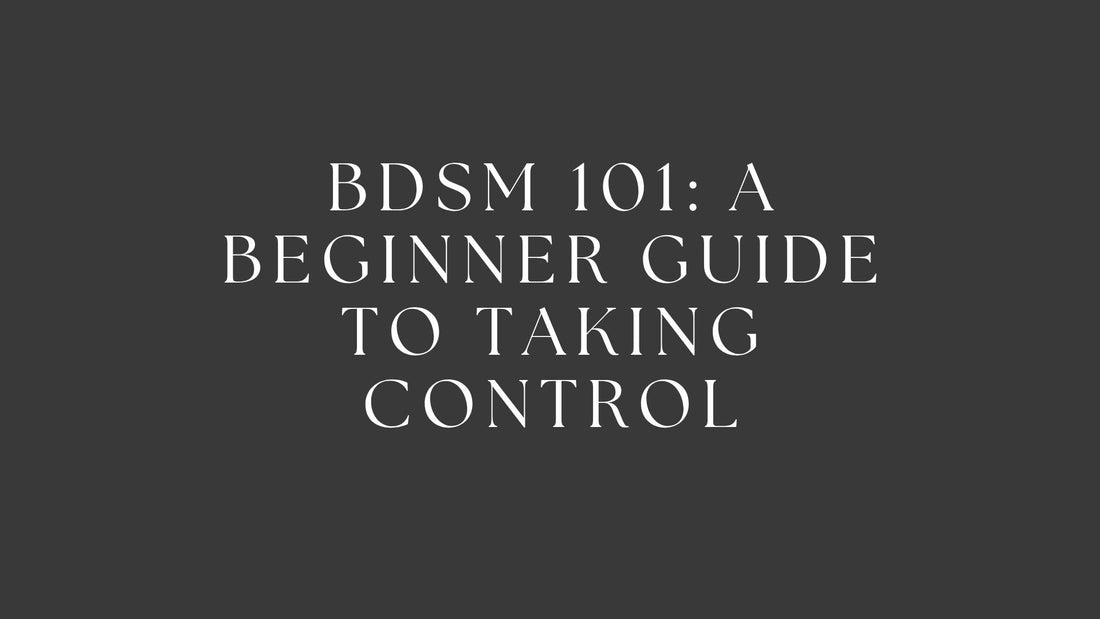 BDSM 101: A Beginner Guide to Taking Control