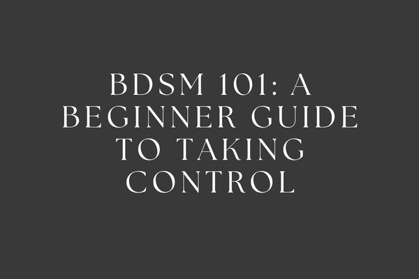 BDSM 101: A Beginner Guide to Taking Control