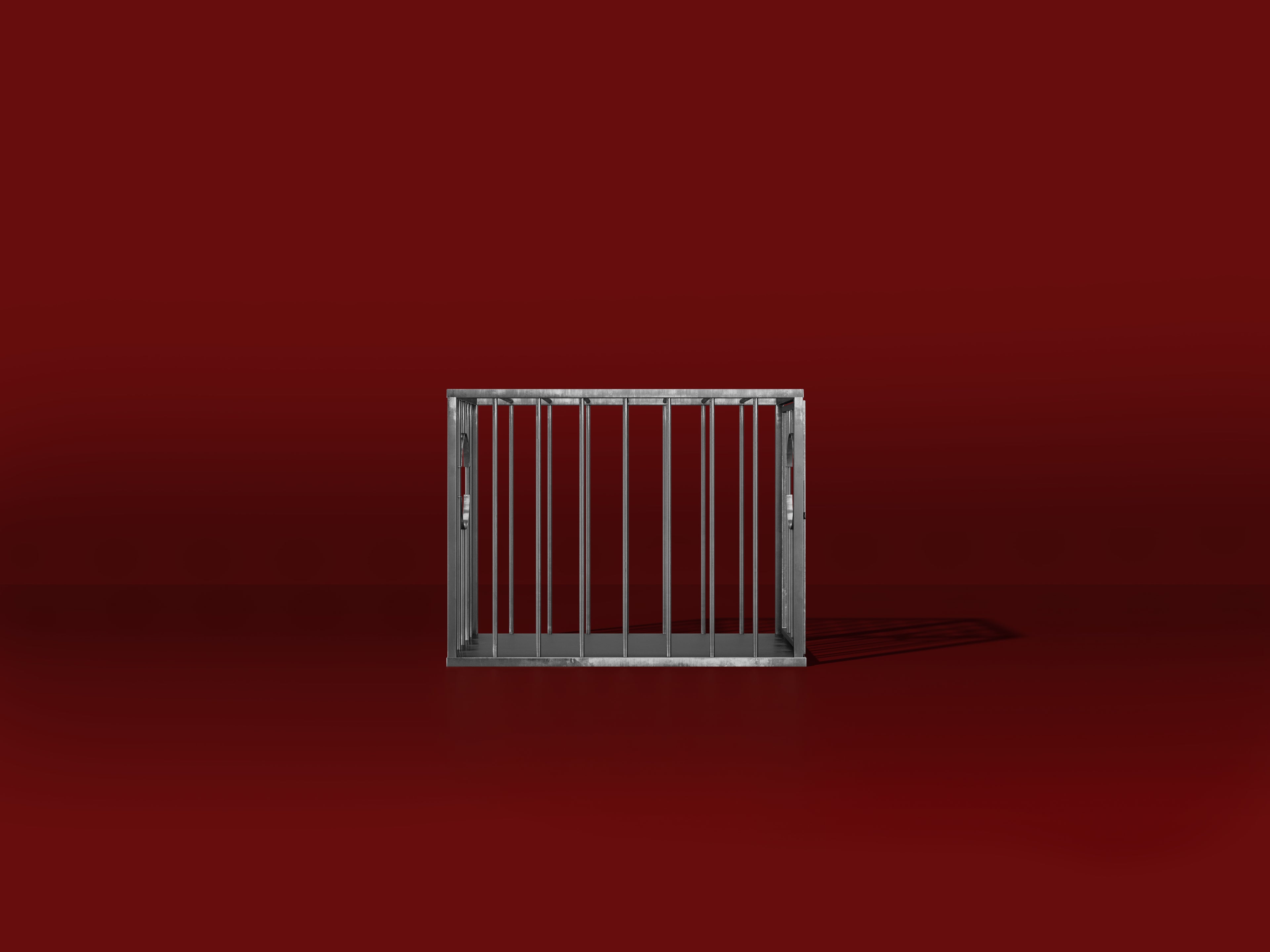 Kennel